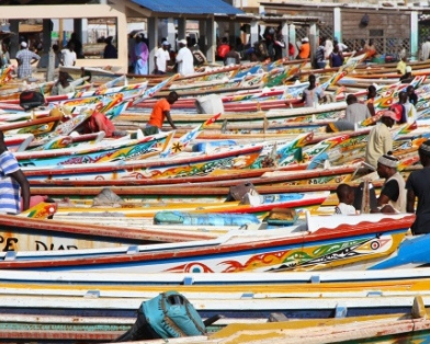 Senegal economic partuciaption
